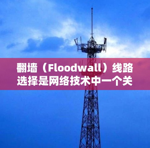 翻墙(Floodwall)线路选择是网络技术中一个关键的步骤,旨在将外部网络资源接入内部网络。以下是一些关于翻墙线路选择的详细指南 翻墙(Floodwall)线路选择是网络技术中一个关键的步骤,旨在将外部网络资源接入内部网络。以下是一些关于翻墙线路选择的详细指南