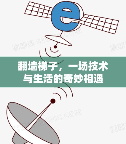 翻墙梯子，一场技术与生活的奇妙相遇
