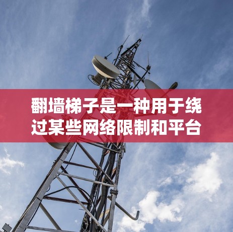 翻墙梯子是一种用于绕过某些网络限制和平台的访问工具,旨在用户能够绕过平台的限制,访问需要的网站。以下是对翻墙梯子的详细介绍 翻墙梯子是一种用于绕过某些网络限制和平台的访问工具,旨在用户能够绕过平台的限制,访问需要的网站。以下是对翻墙梯子的详细介绍