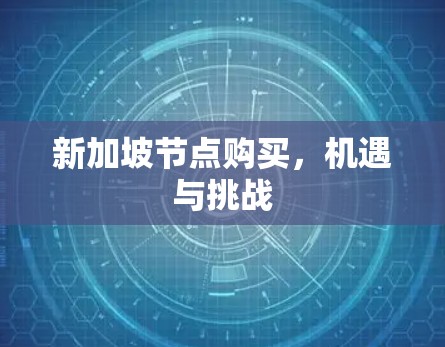 新加坡节点购买，机遇与挑战