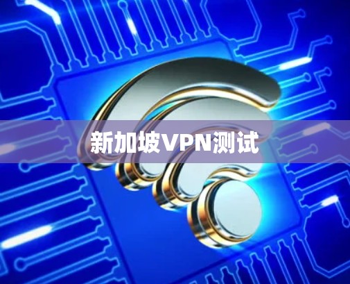 新加坡VPN测试