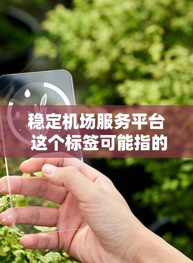 稳定机场服务平台 这个标签可能指的是一个用于机场管理和服务的稳定平台，旨在提供高效、可靠和便捷的机场服务。以下是对这个标签的详细解释
