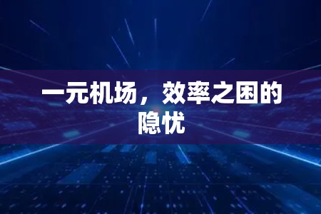 一元机场，效率之困的隐忧