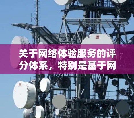 关于网络体验服务的评分体系，特别是基于网络延迟和响应时间的标准，可以参考以下内容