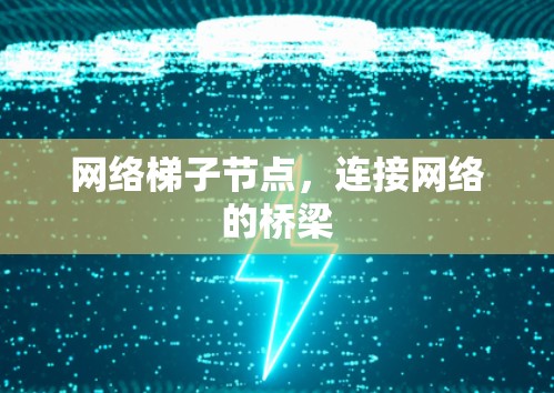 网络梯子节点，连接网络的桥梁