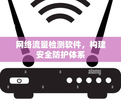 网络流量检测软件，构建安全防护体系