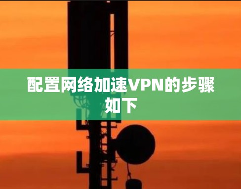 配置网络加速VPN的步骤如下