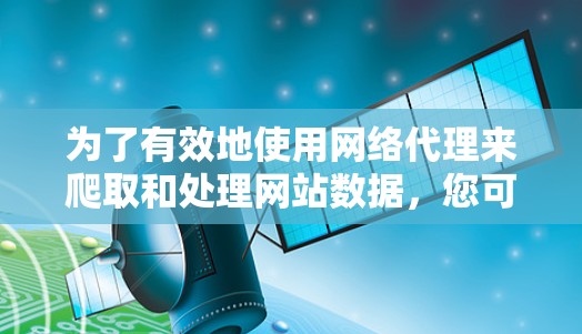 为了有效地使用网络代理来爬取和处理网站数据，您可以按照以下步骤进行操作